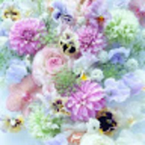 Meet your Posher, Payton